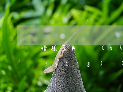離婚孩子判給誰(shuí)？撫養(yǎng)費(fèi)怎么給？看：人民法院裁判規(guī)則31條